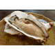【包邮直供】鲜活生蚝 乳山牡蛎原产地直发礼盒装（2.5kg约14-17个）3-4规格 部分省不发货