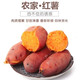 新鲜红薯现挖现发甜蜜薯黄心山芋地瓜番薯5斤