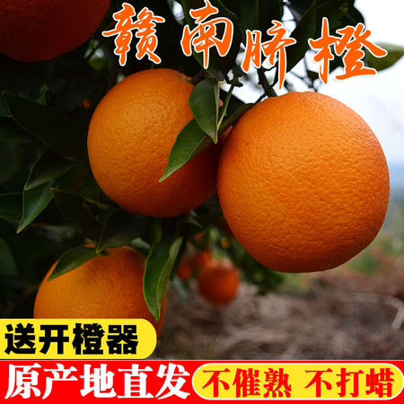 正宗江西赣南脐橙5斤&单果 新鲜水果孕妇橙子