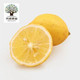 新鲜安岳黄柠檬 柠檬1斤