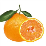 农家自产 南部柑橘