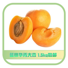 农家自产 陕西 蓝田华胥大银杏1.5kg（陕西省包邮）