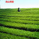 益叶知安化黑茶湖南特产手工古法黑茶2009年高山野生百两茶柱3625g