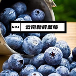 农家自产 云南师宗红土脆甜蓝莓新鲜基地直发