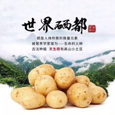  阳飞燕 【邮政助农】正宗恩施土豆老品种洋芋9斤包邮