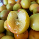 农家自产 【核心产地】新疆皮山明星杏，一生一定要吃的高原大白杏！