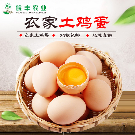 【破损包赔】九华山正宗农家散养新鲜土鸡蛋当天草鸡蛋笨鸡蛋30枚