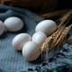 琼艺 【顺丰包邮】新鲜鸽子蛋10枚山林散养土鸽蛋孕妇宝宝辅食白鸽蛋