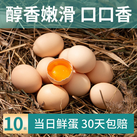 琼艺 散养谷物鲜鸡蛋 农场直供 单枚40±5g 10枚装