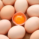 琼艺 【顺丰包邮】谷物鸡蛋45g*50枚土 鸡蛋 新鲜谷物蛋柴鸡蛋