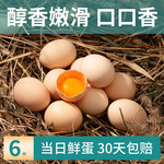 琼艺 谷物鸡蛋45g*6枚 农家散养笨鸡蛋新鲜柴鸡蛋土鸡蛋