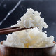【东营馆·邮政农品】本来味稻 黄河口生态米 10kg