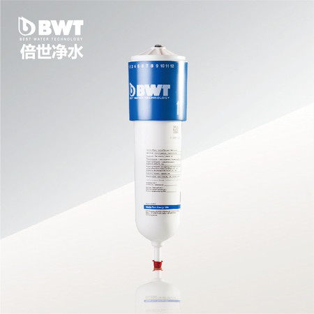 BWT/德国倍世 原装进口厨房台下式直饮净水器  家用自来水过滤器 pure120 滤芯图片