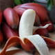仲三 福建红美人香蕉 5斤 新鲜当季水果红皮小米芭蕉包邮