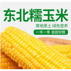 【千里辽河】鲜食玉米2穗装（双辽发货）