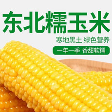 千里辽河 黄糯玉米（双辽发货）1.5kg