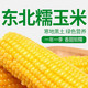 千里辽河 【四平】鲜食玉米5穗（双辽发货）1000g