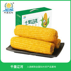 千里辽河 【四平】鲜食玉米（双辽发货）2000g
