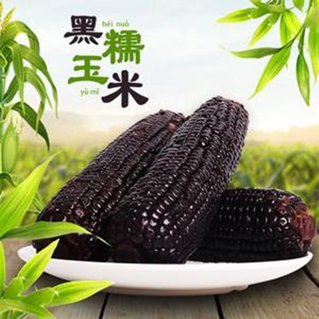 千里辽河 【四平】黑糯玉米（双辽发货）1.5kg图片