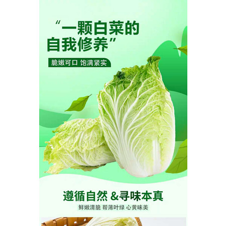 邓州新鲜大白菜2个（仅限邓州地区配送）