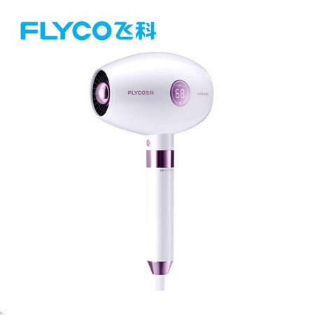 飞科/FLYCO 飞科电吹风机FH6285家用负离子护发大功率静音冷热风发型师吹风筒图片