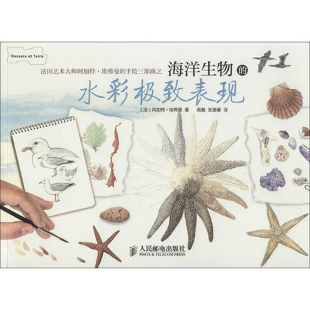 海洋生物的水彩极致表现