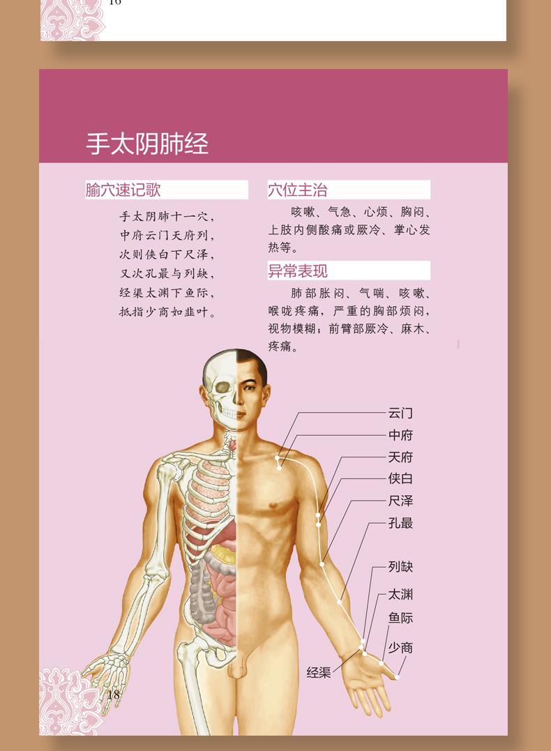 最简单经络穴位使用图册