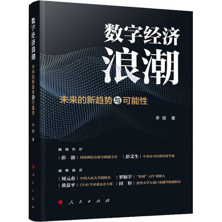 数字经济浪潮 未来的新趋势与可能性图片