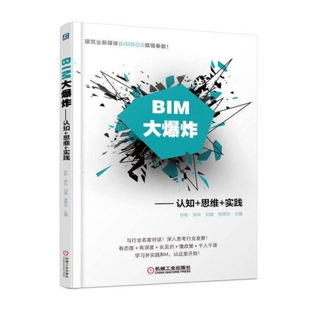 BIM大爆炸——认知+思维+实践图片