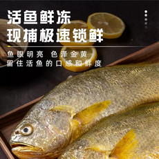 【邮乐自营】一袋惦记鲜生冷冻大黄花鱼450g(±50g)(单条净重)*3条海鲜水产生鲜鱼类顺丰冷链