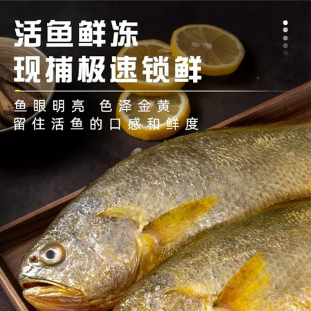  【邮乐自营】一袋惦记鲜生冷冻大黄花鱼450g(±50g)(单条净重)*3条海鲜水产生鲜鱼类顺丰冷链图片