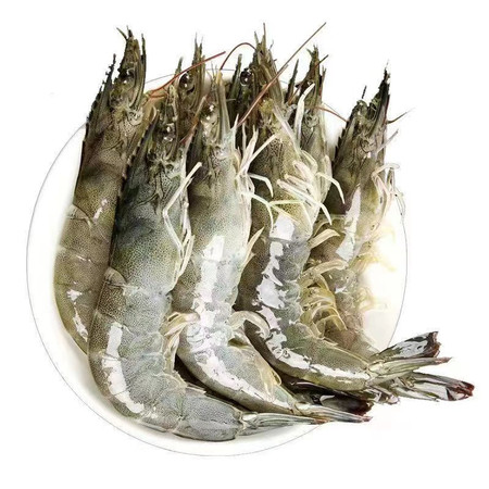  【邮乐自营】 茂苠贸易 海水养殖超大海虾鲜 1.4kg/盒图片