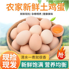  邮乐优选 手捡农家土鸡蛋6枚装（约40g/枚） 现捡现发新鲜饱满营养健康