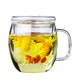 天喜（TIANXI）玻璃杯花茶杯带盖办公室过滤泡茶杯TBL02-450
