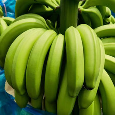 农家自产 屏边特产香蕉