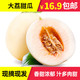 零点先到家 陕西大荔新鲜包邮白皮甜瓜水果瓜2.5kg（4-6个装）