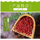 绥望 绥滨县贫困户农家自产红小豆2.5kg
