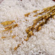 福香御 东北长粒香大米5kg厂家直销东北大米软糯新品上市
