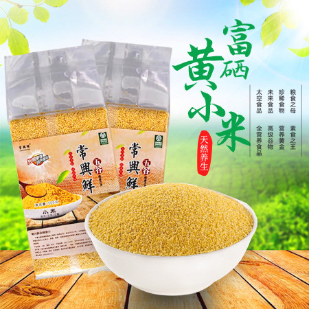 高晓明 西吉特产常兴鲜富硒红谷黄小米500g/袋*2袋