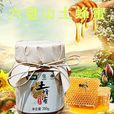 众天 【限时立减10元】宁夏泾源特产土蜂蜜 单瓶便携装冲调水饮
