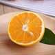 现摘发现夏橙5-10斤  现摘橙子 榨汁鲜橙 果肉多汁 酸甜可口 时令新鲜当季水果甜橙手剥脐橙