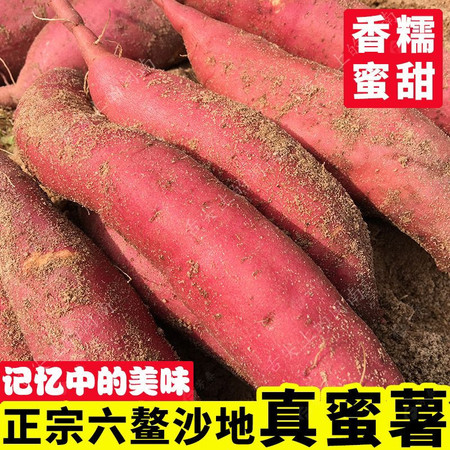 亿荟源 福建沙地六鳌5斤【中大果】红薯红蜜薯粗粮杂粮烤地瓜