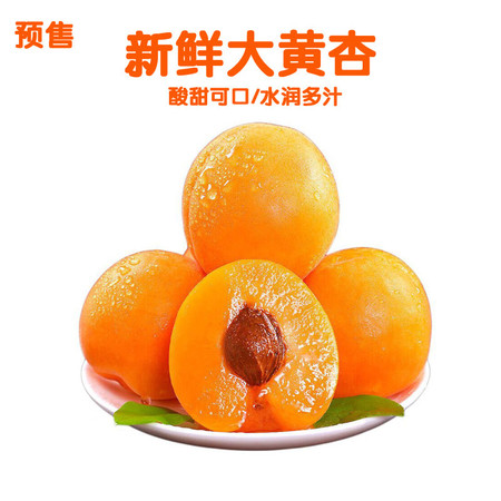 亿荟源 陕西大黄杏新鲜水果酸甜大杏子