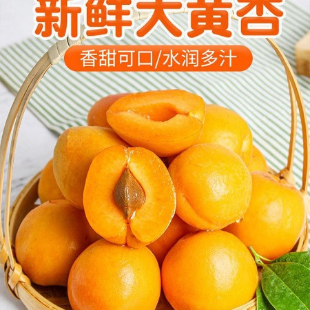 亿荟源 【现摘现发】陕西大黄杏酸甜大杏子脆软双吃时令水果新鲜水果颗颗图片
