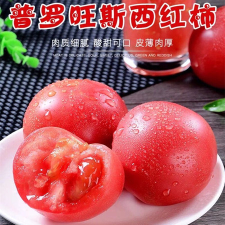 亿荟源 正宗泾阳普罗旺斯西红柿番茄蔬菜水果图片