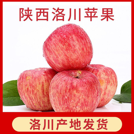 亿荟源 洛川红富士苹果图片
