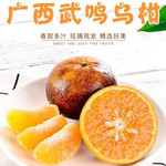 亿荟源 广西乌柑新鲜水果蜜橘柑橘桔子 中果5斤60-65mm 25-30个斤