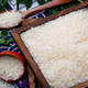 姿蕴 裕德利东北新米10斤珍珠米圆粒正宗东北特产有机大米2023年