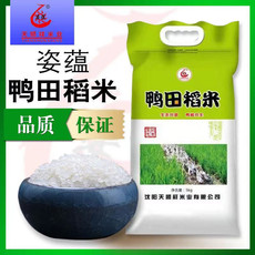姿蕴 高品质新米鸭田稻米10斤东北特产大米2023年新米有机大