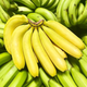 亿荟源 西双版纳威廉斯香蕉新鲜时令应季新鲜水果源产地直发